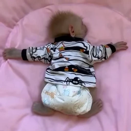 😴 Стикер «Обезьянки» для Telegram