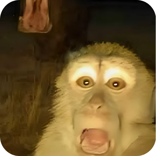 😱 Стикер «Обезьянки» для Telegram