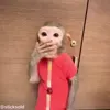 Стикер 23 обезьянки