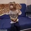 Стикер 10 обезьянки