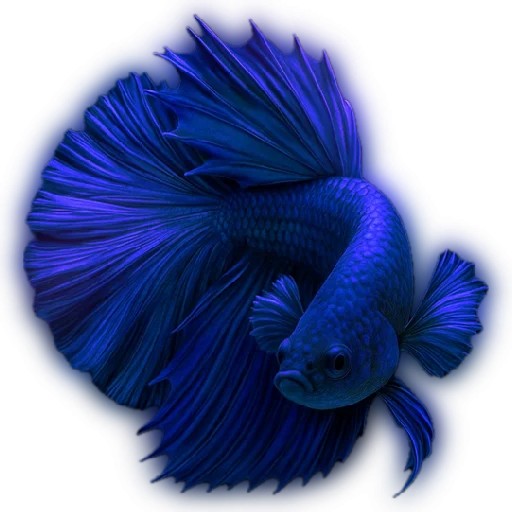 💙 Стикер «oceania» для Telegram