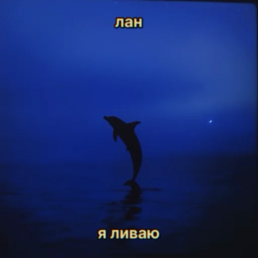💙 Стикер «oceania» для Telegram