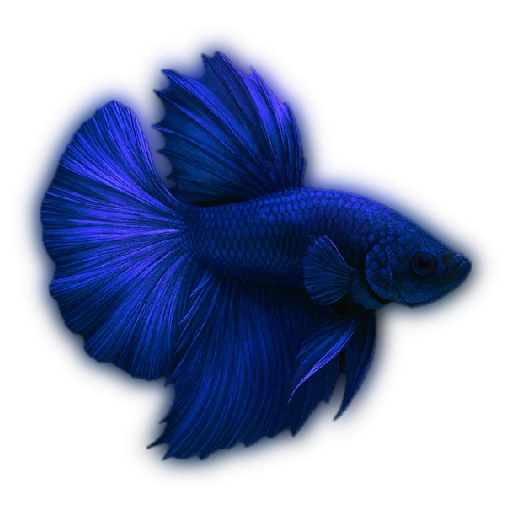 💙 Стикер «oceania» для Telegram