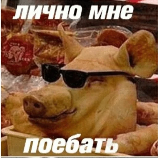😎 Стикер «Сборник мемов» для Telegram