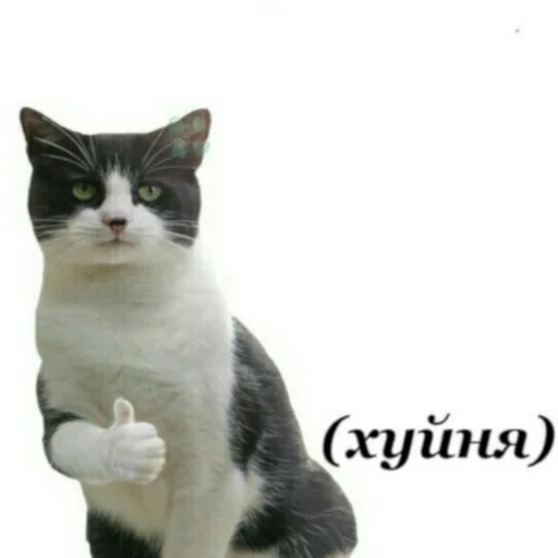 👍 Стикер «Сборник мемов» для Telegram