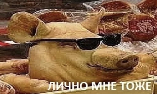 😉 Стикер «Сборник мемов» для Telegram