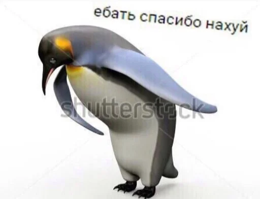 🙏 Стикер «Сборник мемов» для Telegram