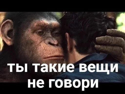 📣 Стикер «Сборник мемов» для Telegram