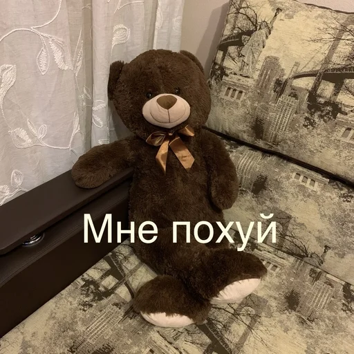 🐻 Стикер «Сборник мемов» для Telegram
