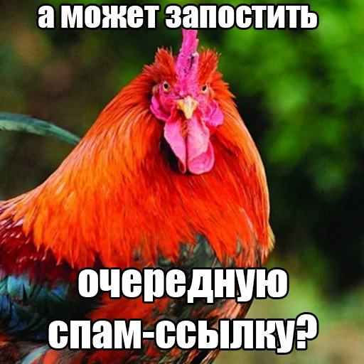 🐔 Стикер «Walkin Talkin Stephen Hawkin» для Telegram