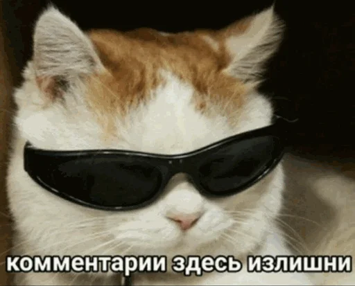 😎 Стикер «Walkin Talkin Stephen Hawkin» для Telegram