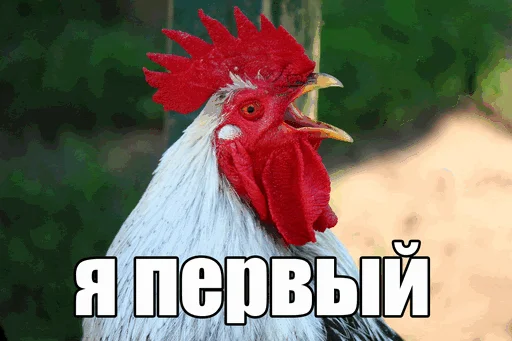 🐓 Стикер «Walkin Talkin Stephen Hawkin» для Telegram