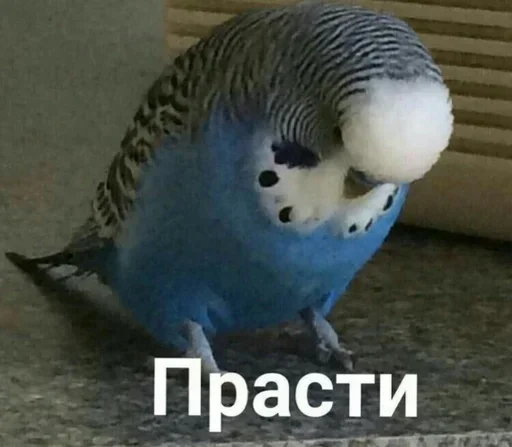🥺 Стикер «Лол(^_-)» для Telegram