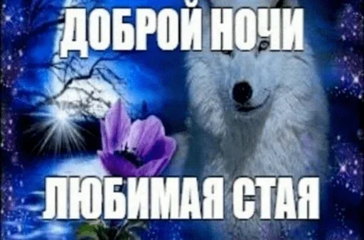 💤 Стикер «Лол(^_-)» для Telegram