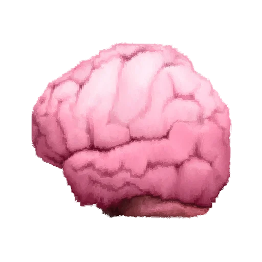 🧠 Стикер «Oh no.. [Human]» для Telegram
