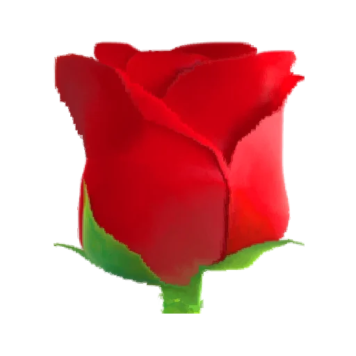 🌹 Стикер «Oh no.. [Nature]» для Telegram