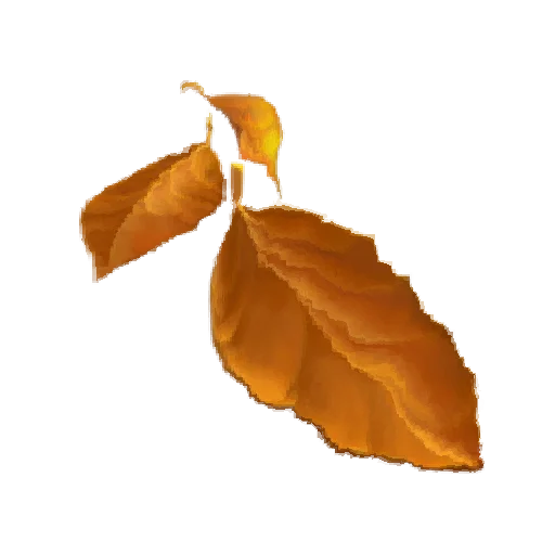 🍂 Стикер «Oh no.. [Nature]» для Telegram