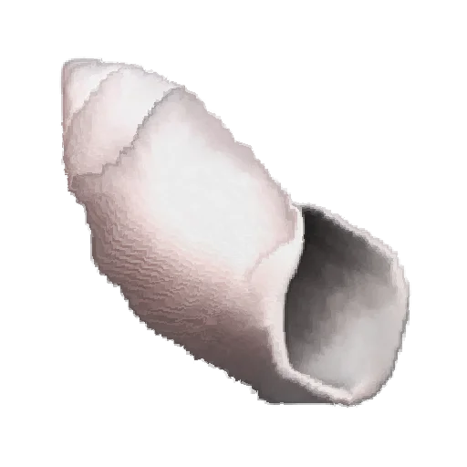 🐚 Стикер «Oh no.. [Nature]» для Telegram