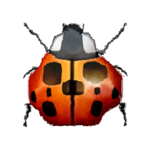 🐞 Стикер «Oh no.. [Animal]» для Telegram