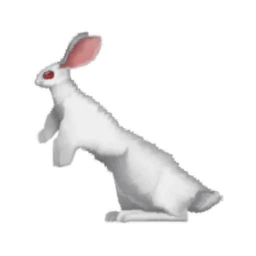 🐇 Стикер «Oh no.. [Animal]» для Telegram