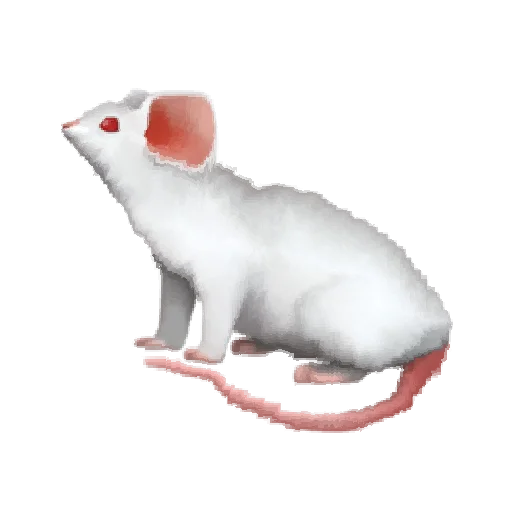 🐁 Стикер «Oh no.. [Animal]» для Telegram