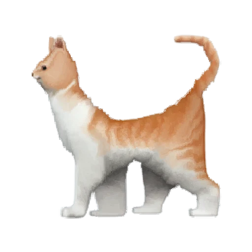 🐈 Стикер «Oh no.. [Animal]» для Telegram