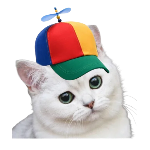 🧢 Стикер «I love yaoi» для Telegram