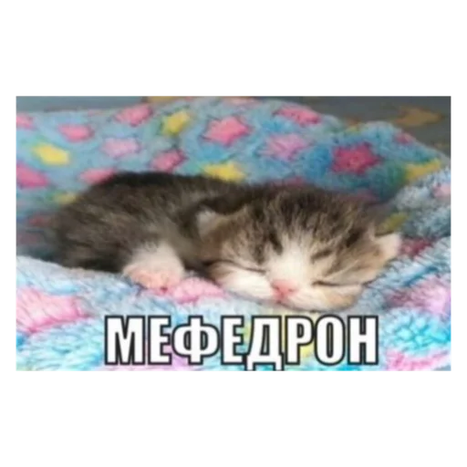 👃 Стикер «I love yaoi» для Telegram