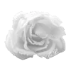 Стикер 49 𝒟𝑒𝑎𝓇 𝐿𝑜𝑣𝑒𝓇