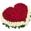 Стикер 33 Вайб 2015