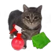 Стикер 18 Oiia Cat Без