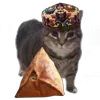 Стикер 19 Oiia Cat Без