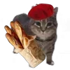 Стикер 3 Oiia Cat Без