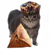 Стикер 8 Oiia Oiia Cat