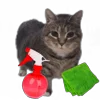 Стикер 13 Oiia Oiia Cat