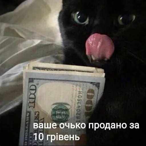 😛 Стикер «Ошибка» для Telegram