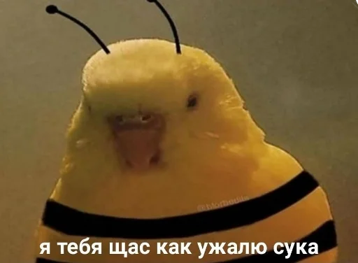 🐝 Стикер «Ошибка» для Telegram