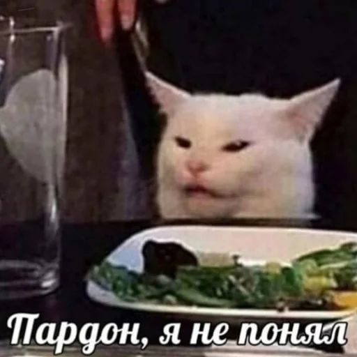 🤨 Стикер «Ошибка» для Telegram