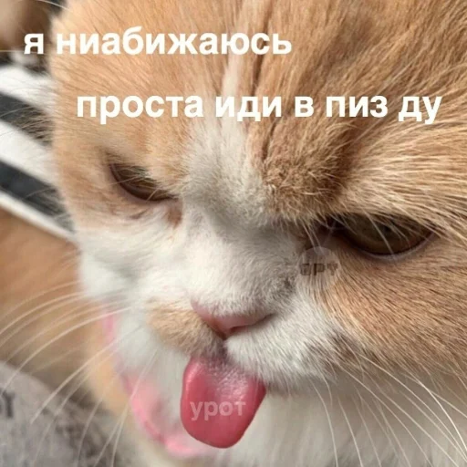 😝 Стикер «Ошибка» для Telegram