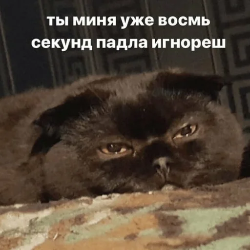 🙄 Стикер «Ошибка» для Telegram