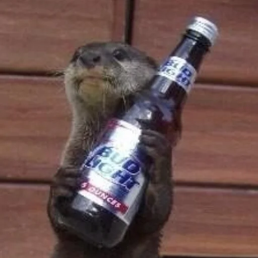 🍺 Стикер «otter» для Telegram