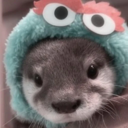 👾 Стикер «otter» для Telegram