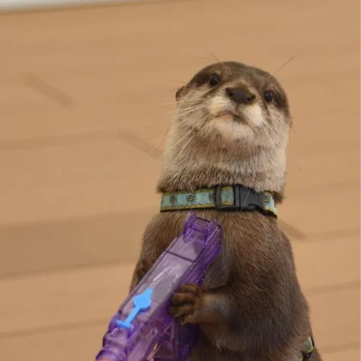 🔫 Стикер «otter» для Telegram