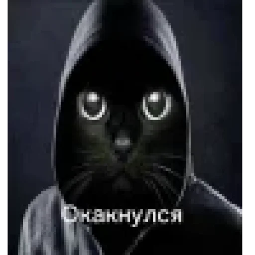 🤩 Стикер «ОКАК» для Telegram