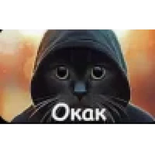 🤩 Стикер «ОКАК» для Telegram