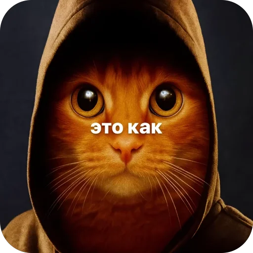 🐱 Стикер «окаки» для Telegram