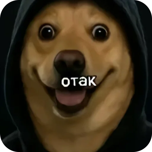 🐶 Стикер «окаки» для Telegram