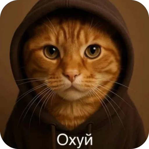 🫥 Стикер «окаки» для Telegram