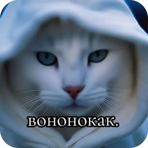 🫥 Стикер «окаки» для Telegram