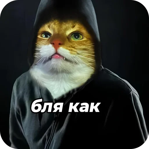🫥 Стикер «окаки» для Telegram